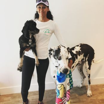 The Litter Sitter - Lori and Wesley the Great Dane and Bentley! - Dog Walkers Near Me