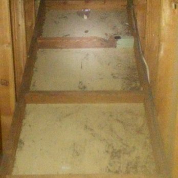 Attic Pros - Upper attic before cleaning. - Pest Control Near Me - Oakland, California