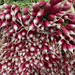 Marché Central - These radishes were so beautiful I had to take a picture!