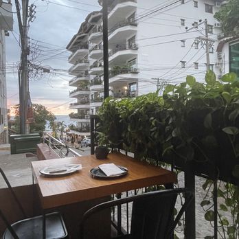 116 Pulpito - Patio dining - Tapas/Small Plates Near Me - Puerto Vallarta, JAL 116 Pulpito - Patio dining - Tapas/Small Plates Near Me - Puerto Vallarta, JAL