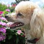 Photo of Happy at Home