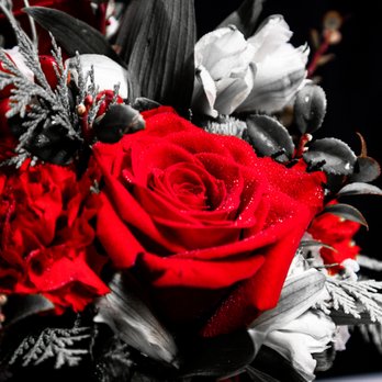 Tito's Flowers & Gifts - Here's a rose for you... - Florists Near Me - Chicago, Illinois Tito's Flowers & Gifts - Here's a rose for you... - Florists Near Me - Chicago, Illinois