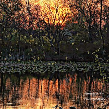 Twin Lakes Preserve - Sun up at Twin Lakes this morning 21APR23 - Parks Near Me - Wantagh, New York Twin Lakes Preserve - Sun up at Twin Lakes this morning 21APR23 - Parks Near Me - Wantagh, New York