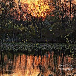 Twin Lakes Preserve - Sun up at Twin Lakes this morning 21APR23