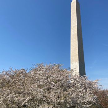 Washington Monument - Landmarks & Historical Buildings Near Me - Washington, DC, District of Columbia Washington Monument - Landmarks & Historical Buildings Near Me - Washington, DC, District of Columbia
