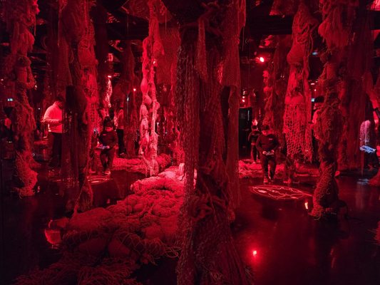 Arcadia Earth Toronto by null