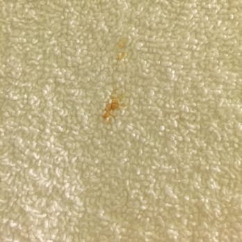 Americas Inn - Blood stain on the towel. - Hotels Near Me - Princeton, Kentucky Americas Inn - Blood stain on the towel. - Hotels Near Me - Princeton, Kentucky