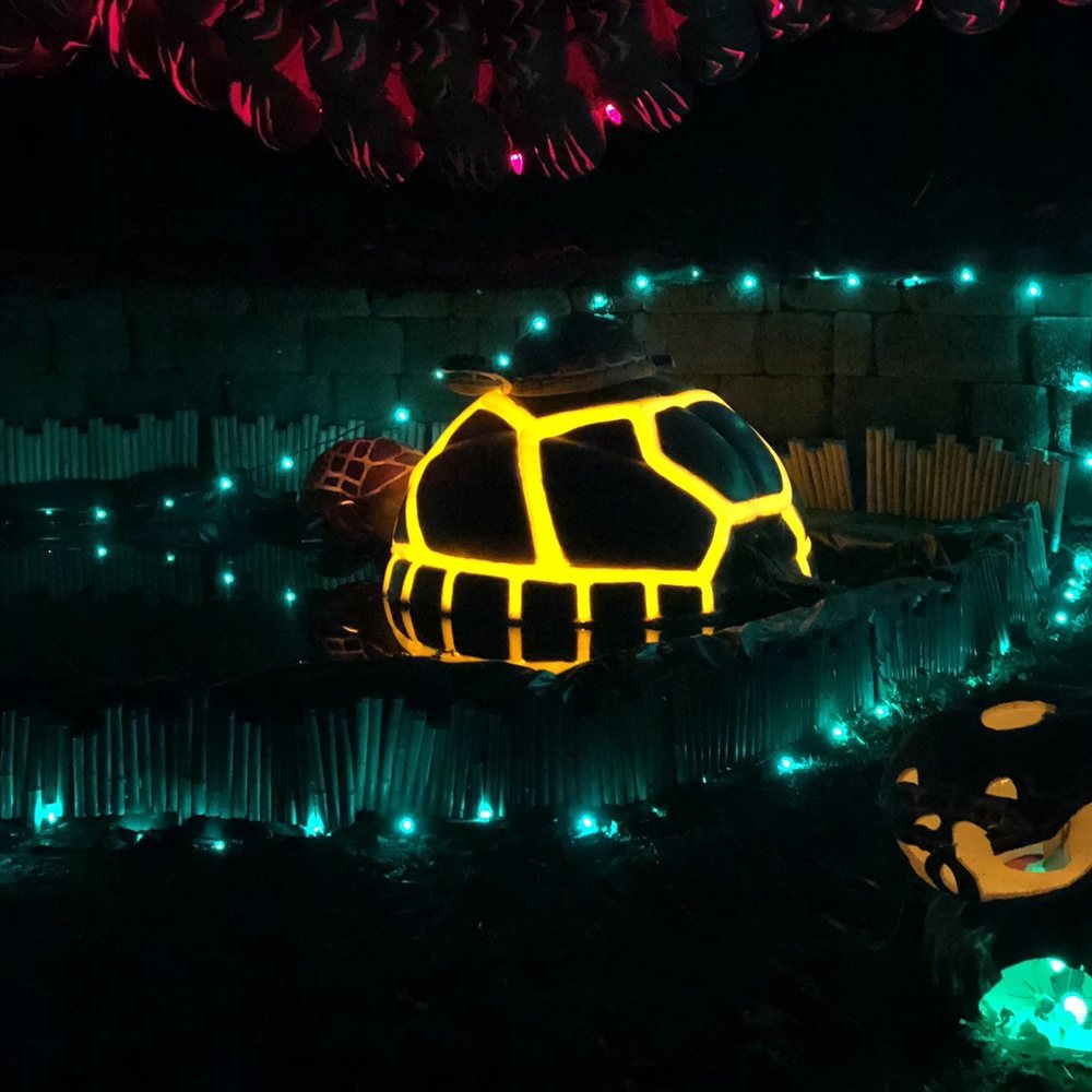 Pumpkin Nights - Festivals Near Me - Auburn, California