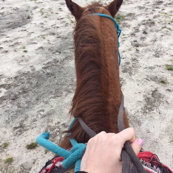 Splendor Farms - Horseback Riding Near Me - Bush, Louisiana Splendor Farms - Horseback Riding Near Me - Bush, Louisiana