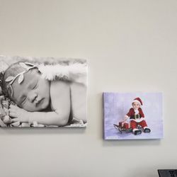Sparrow Print -N- Ship - Canvas