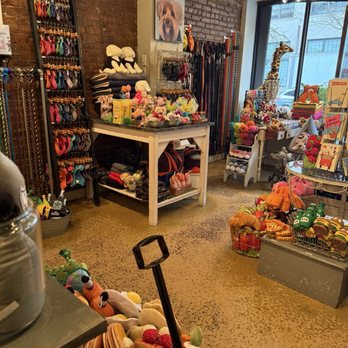 Zoomies - Pet Stores Near Me - New York, New York
