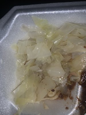 Caribbean Delight by null