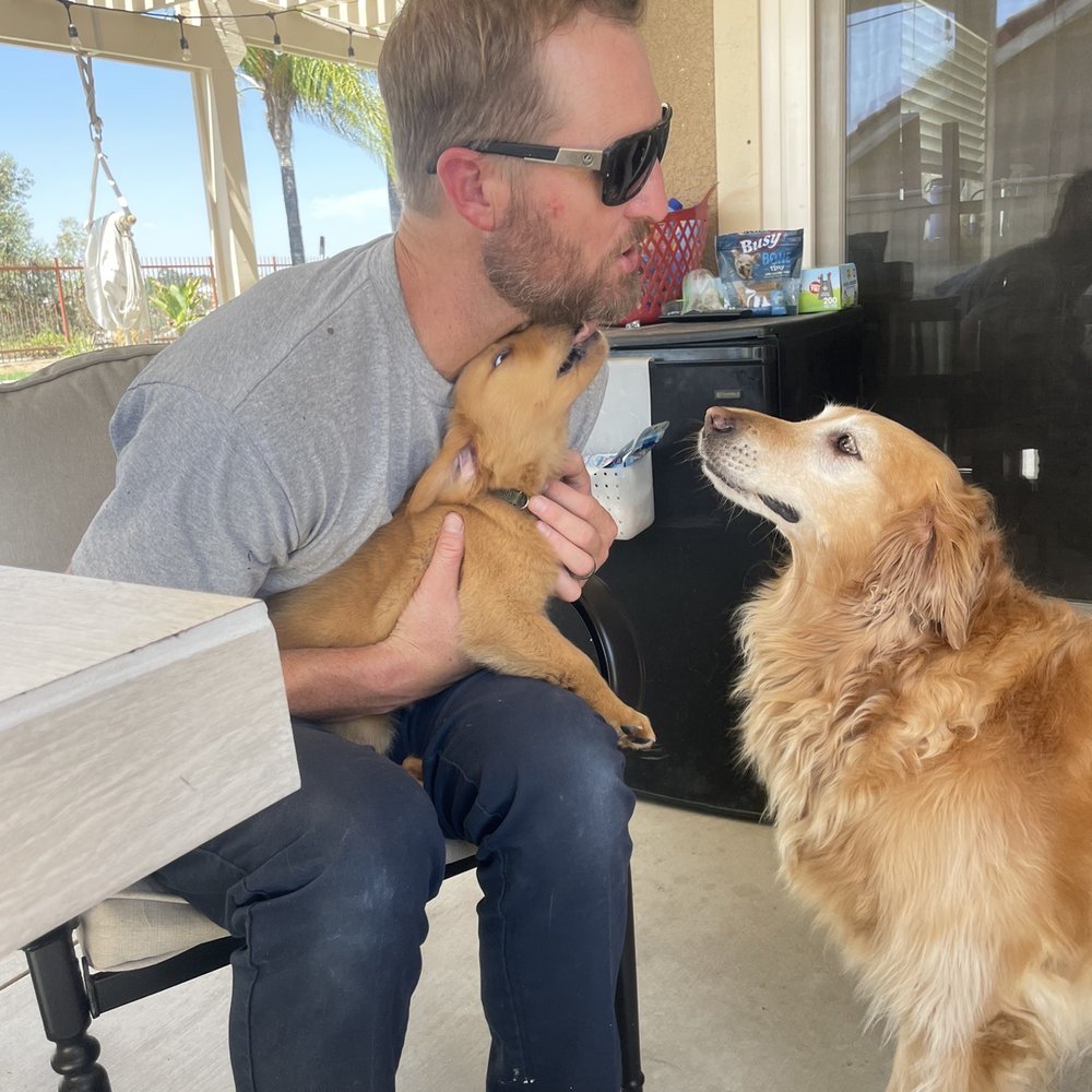 Ssj2Kennels - Zeke and his sister Zoey - Pet Breeders Near Me