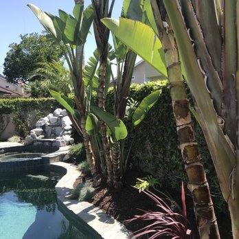 Reynaldo Landscape Inc. - Landscaping Near Me - La Habra, California Reynaldo Landscape Inc. - Landscaping Near Me - La Habra, California