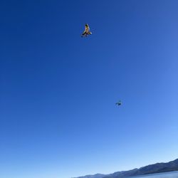 Motorized paragliders