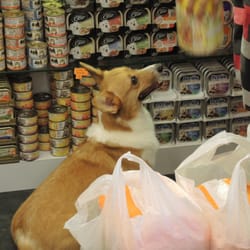 愛犬站