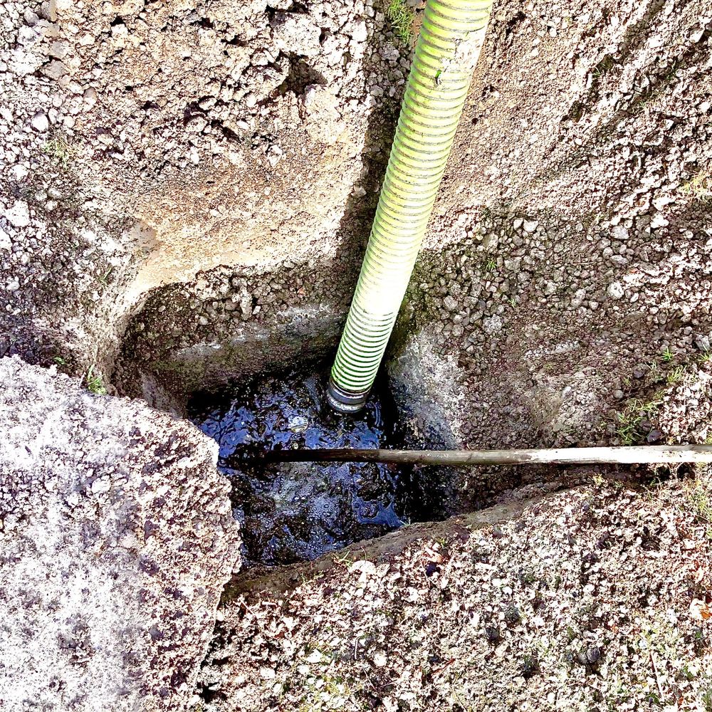 Slide of American Rooter