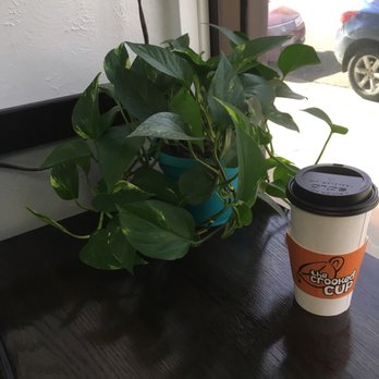 The Cheyenne Cup - Real green plants : ) - Coffee & Tea Near Me - Cheyenne, Wyoming The Cheyenne Cup - Real green plants : ) - Coffee & Tea Near Me - Cheyenne, Wyoming