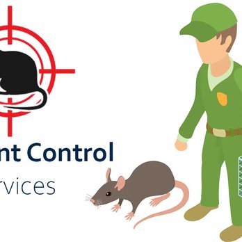 Rat and Mice Termination - Pest Control Near Me - Denver, Colorado Rat and Mice Termination - Pest Control Near Me - Denver, Colorado