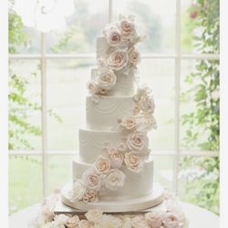 Bella's Bliss Bakery - Photo given