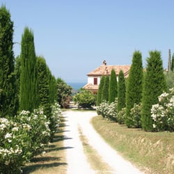 Uliveto Casa Vacanze