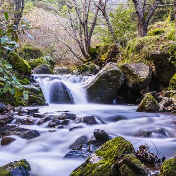 Indian Valley Open Space Preserve - Parks Near Me - Novato, California