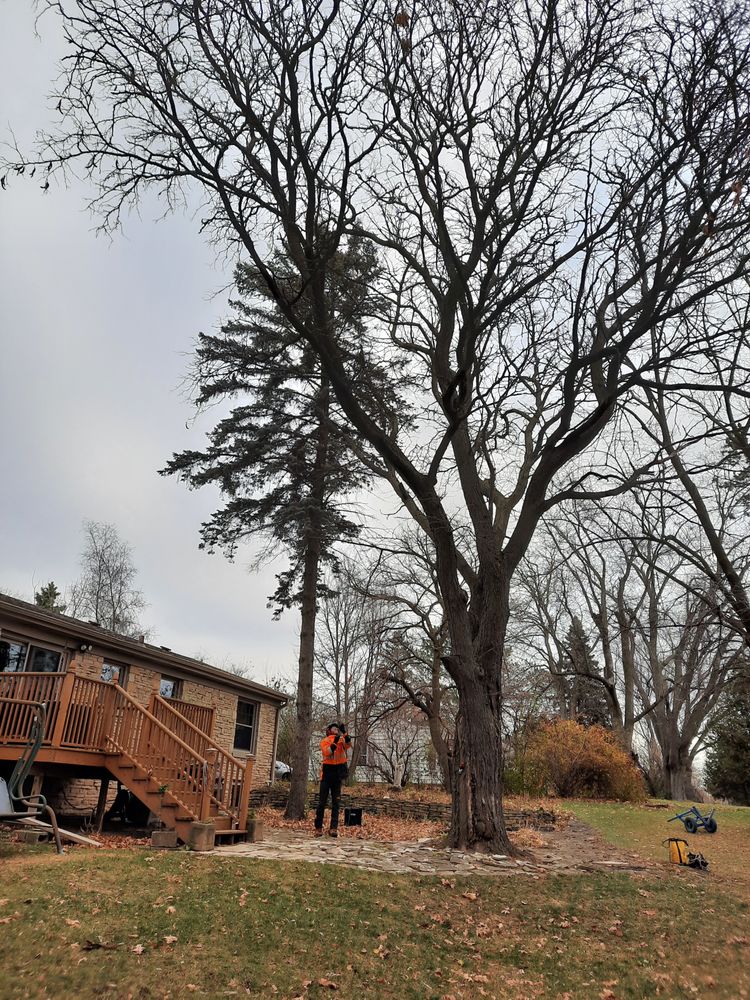 Gollnick & Sons Tree Service - tree service in Cedarburg, WI