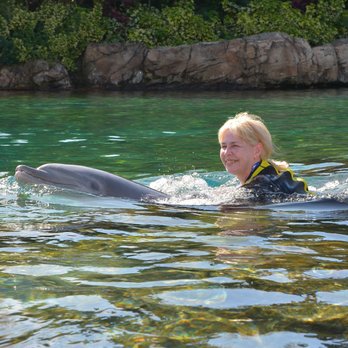 Discovery Cove - Amusement Parks Near Me - Orlando, Florida Discovery Cove - Amusement Parks Near Me - Orlando, Florida