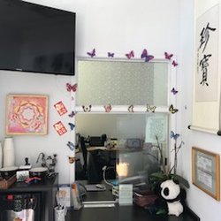 Bay Area Osteopathic - Front desk