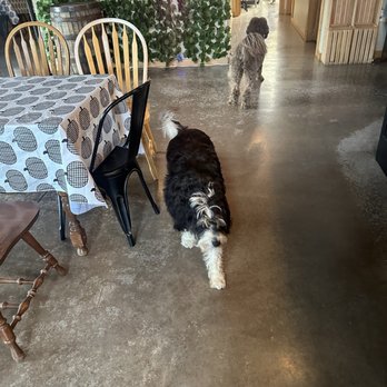 Ugly Bunny Winery - Grace - Wineries Near Me - Loudonville, Ohio