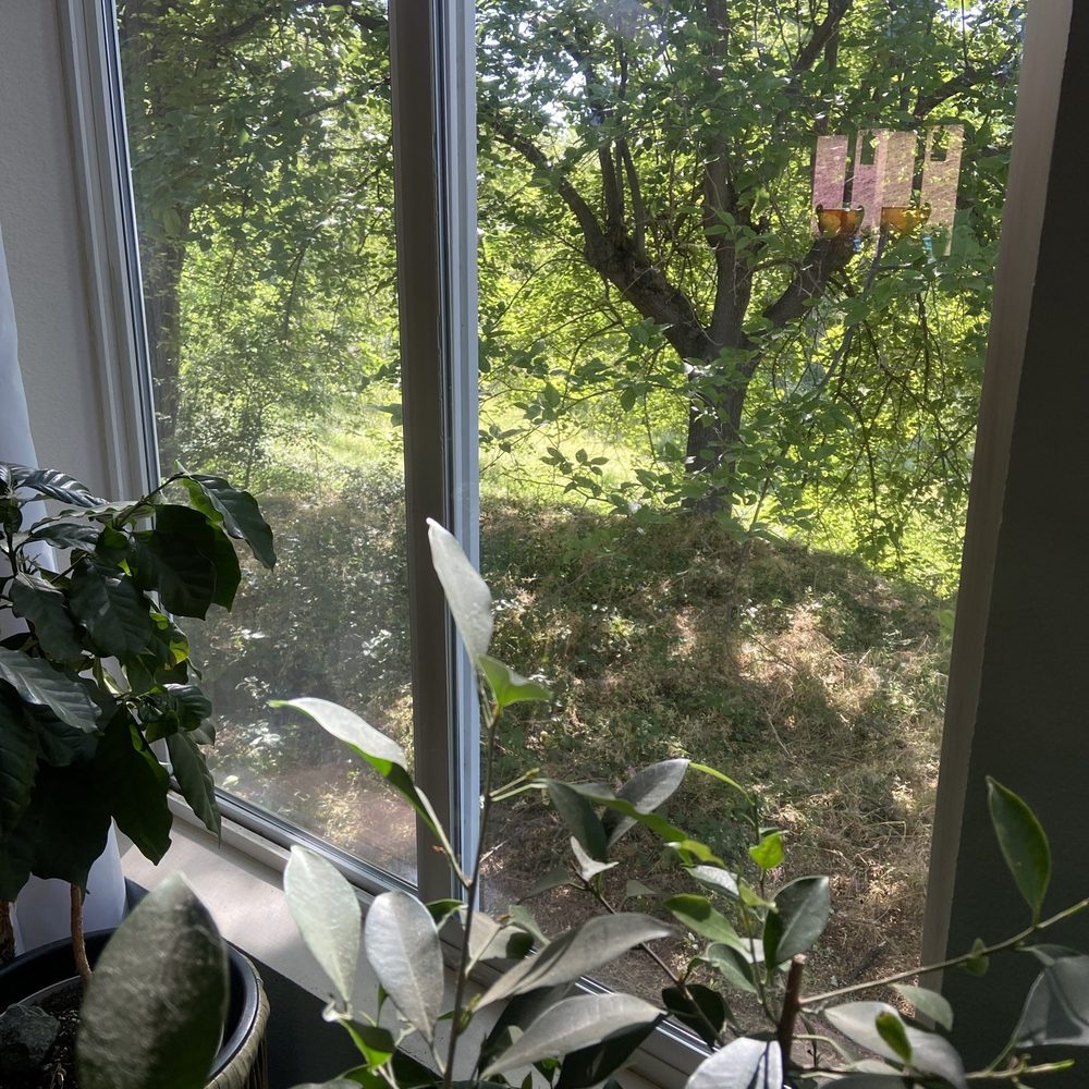 Lighthouse Window Cleaning - Newly cleaned (but very old) windows! - Window Washing Near Me - Rocklin, California