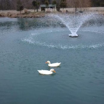 Morais Vineyards & Winery - Venues & Event Spaces Near Me - Bealeton, Virginia Morais Vineyards & Winery - Venues & Event Spaces Near Me - Bealeton, Virginia