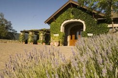 Cardinale Estate by null