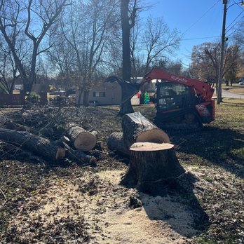 Kinsey Tree Services - Tree Services Near Me - Paris, Tennessee Kinsey Tree Services - Tree Services Near Me - Paris, Tennessee