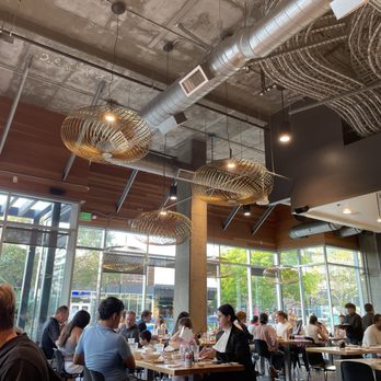 dan modern chinese - Inside - Chinese Near Me - Los Angeles, California dan modern chinese - Inside - Chinese Near Me - Los Angeles, California