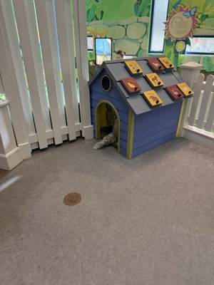 Children's Museum of the East End by null