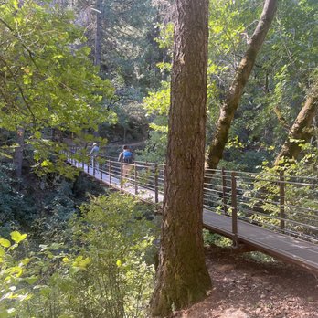 Deer Creek Tribute Trail - Hiking Near Me - Nevada City, California