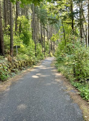 Bike the Gorge by null