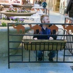 MetroScapesChicago - Roger doing site planning for future plantings for trendsetting cafe on Michigan Ave., Chicago Spring 2014