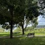 Photo of Pioneer Park