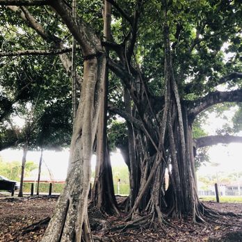 Schenley Park - Parks Near Me - Miami, Florida Schenley Park - Parks Near Me - Miami, Florida