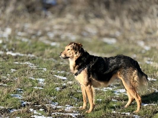 Seattle Speech & Language Therapy Services