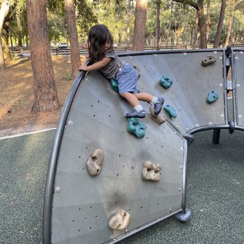 John Chesnut Sr Park - Parks Near Me - Palm Harbor, Florida