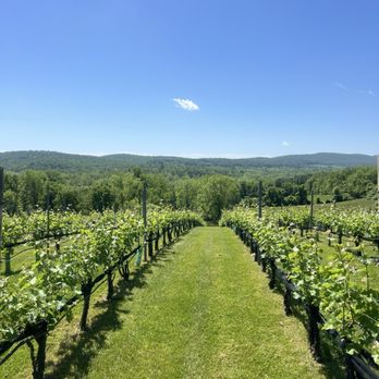 50 West Vineyards - Vineyards - Wineries Near Me - Middleburg, Virginia 50 West Vineyards - Vineyards - Wineries Near Me - Middleburg, Virginia