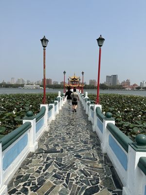 Dragon and Tiger Pagodas by null