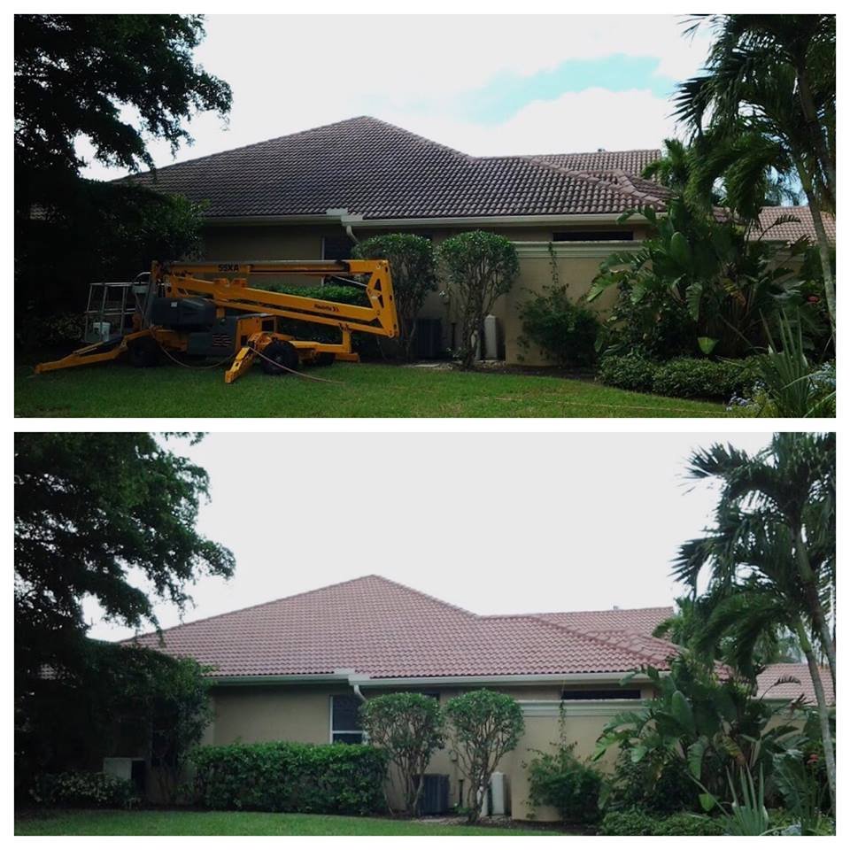 Slide of Allied Roof Cleaning