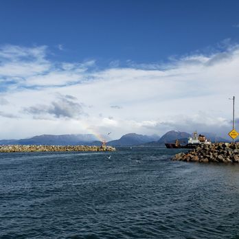 D&G Charters - Fishing Near Me - Homer, Alaska