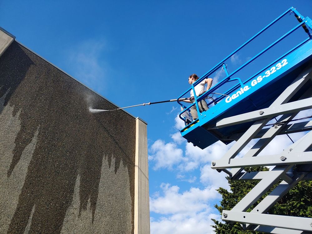 G&I Exterior Cleaning - tree service in Maple Valley, WA