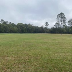 Lumberton City Park Disc Golf Course - Beautiful green spaces-trail along those trees around the park