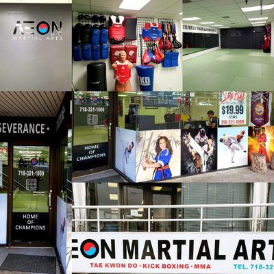 Aeon Martial Arts - Flushing by null